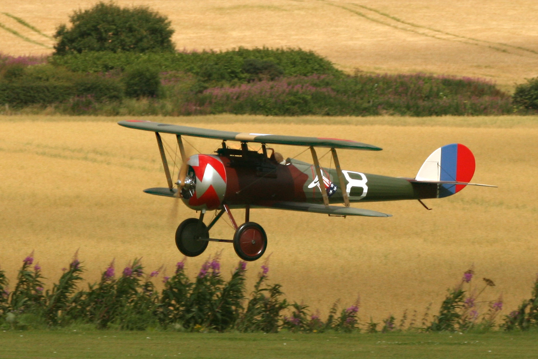 a radio controlled biplane being flown against a background of a wheat field